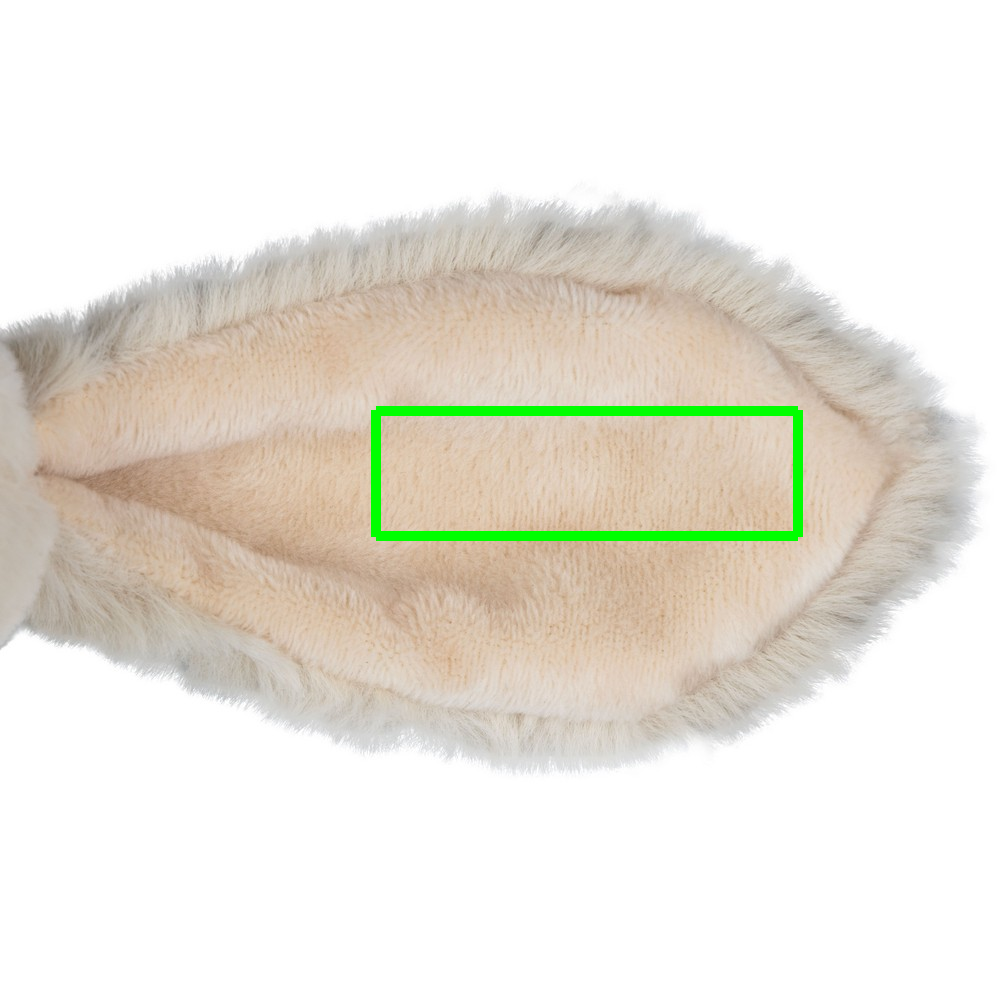 ear